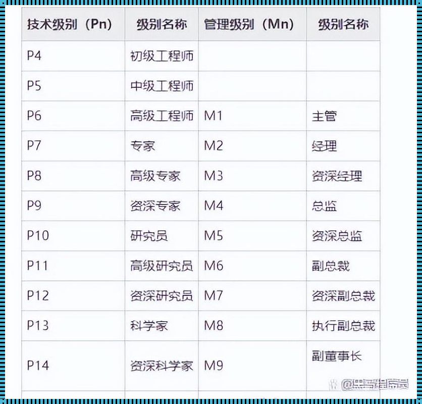 阿里财务p9是什么级别