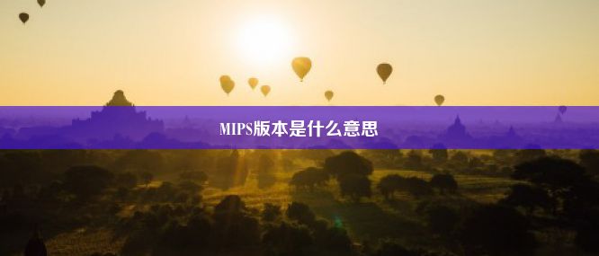 MIPS版本是什么意思