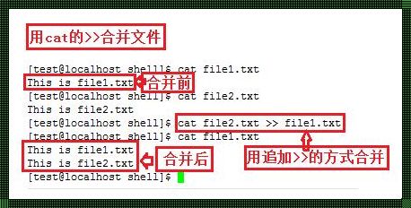 Linux合并文件：技巧与实践