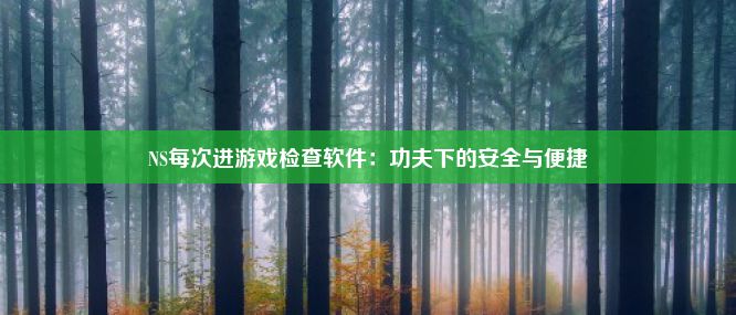 NS每次进游戏检查软件：功夫下的安全与便捷