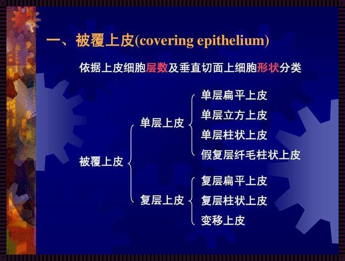 图层的名词解释：揭开视觉艺术与技术奥秘的一角