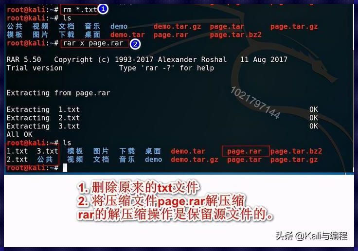 Linux解压rar的软件：自由与便利的兼备之选