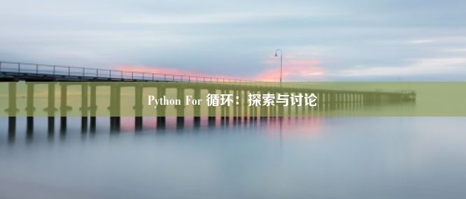 Python For 循环：探索与讨论