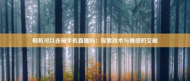 相机可以连接手机直播吗：探索技术与情感的交融