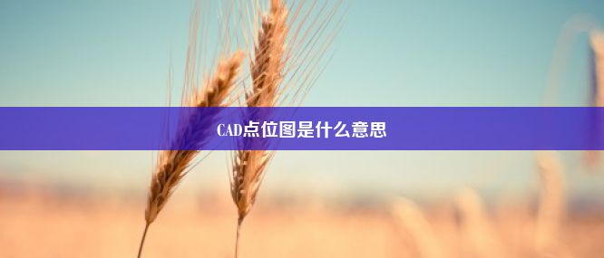 CAD点位图是什么意思