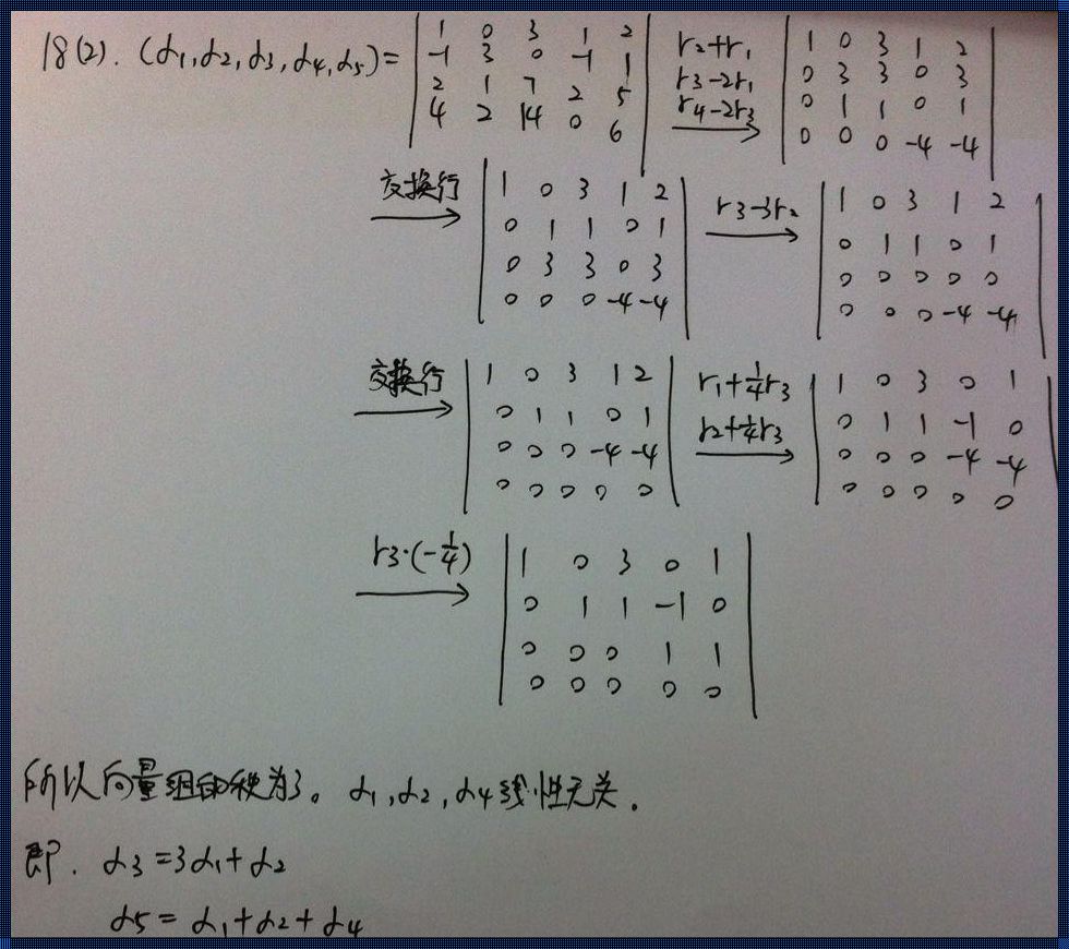 向量的行秩：防范与应用