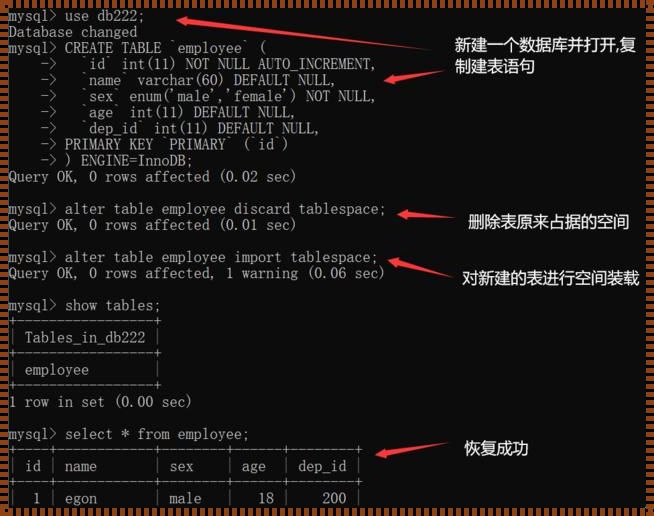 MySQL添加外键约束：一种确保数据一致性的有效方法