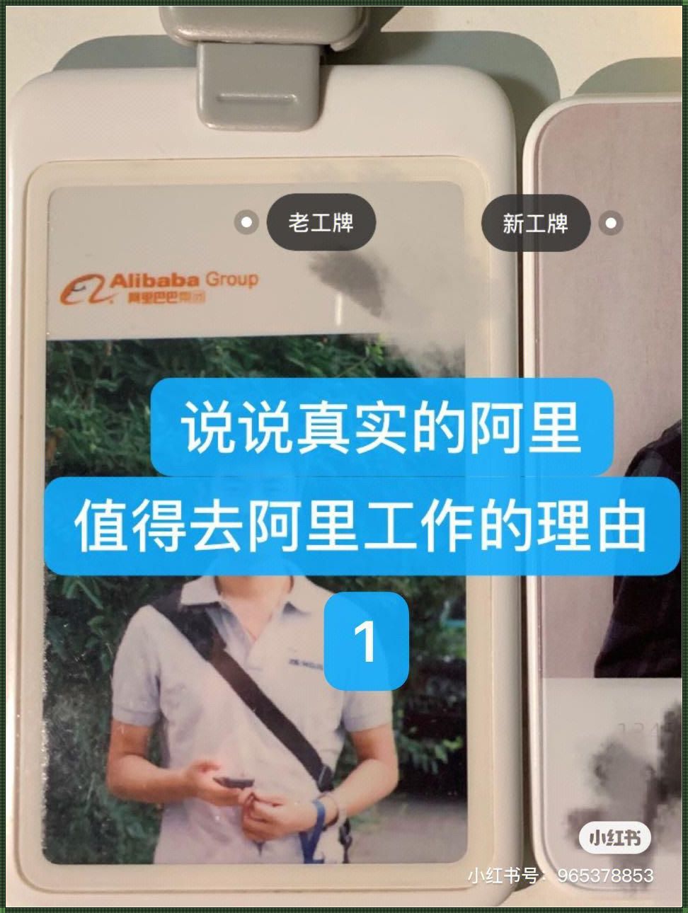 阿里有P10吗？深入解析与分享