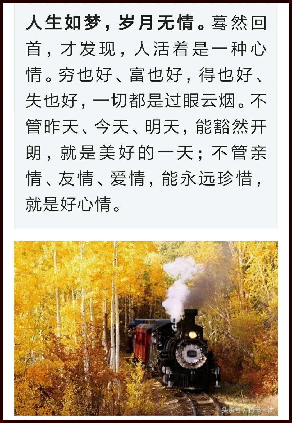 岁月总是匆匆的催人老是什么歌——探索时间的流逝与生命的意义