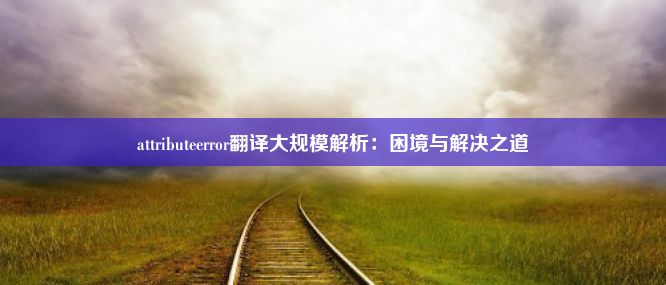 attributeerror翻译大规模解析：困境与解决之道