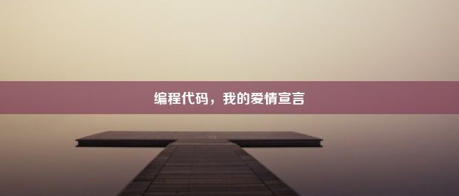 编程代码，我的爱情宣言