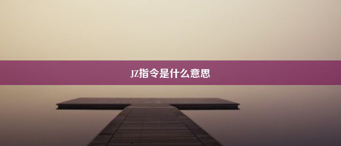 JZ指令是什么意思