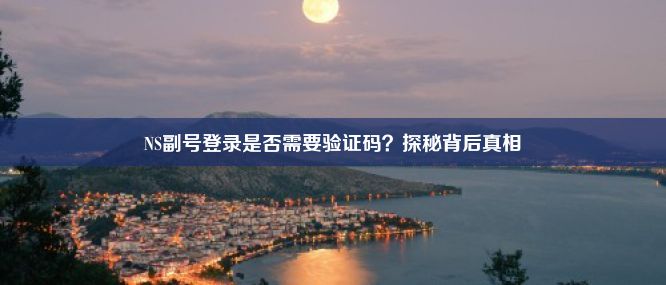 NS副号登录是否需要验证码？探秘背后真相