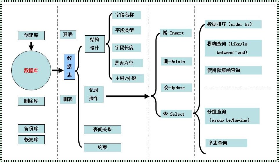 数据库建设流程：探索与创新