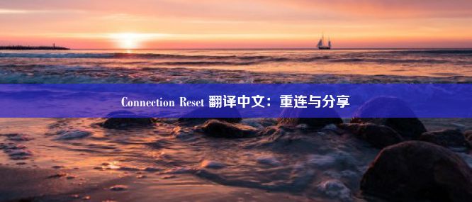 Connection Reset 翻译中文：重连与分享