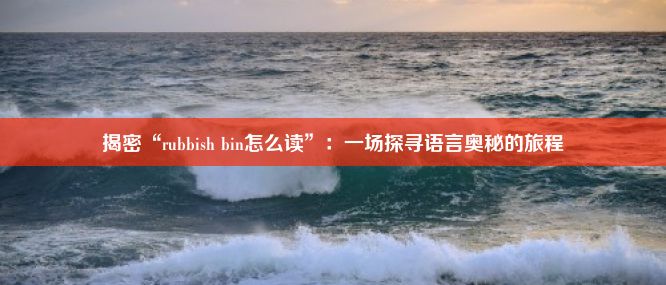 揭密“rubbish bin怎么读”：一场探寻语言奥秘的旅程