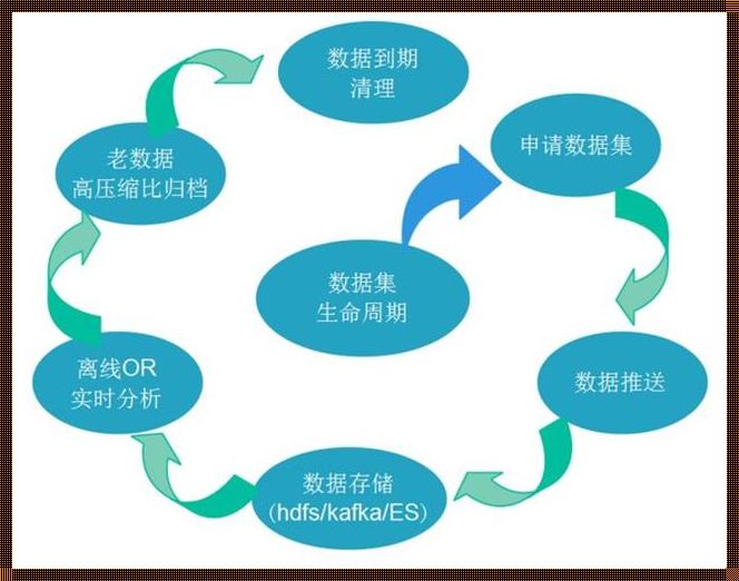 大数据预处理：探索隐藏的宝藏