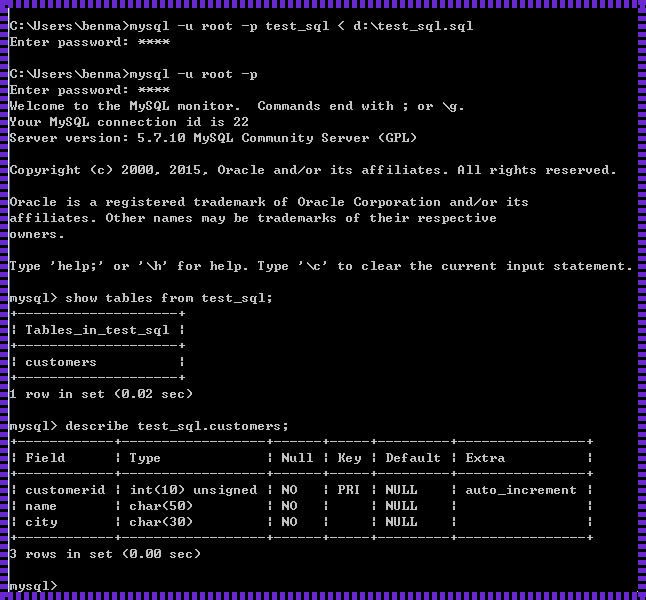 探讨SQLPlus执行SQL文件的优势与影响