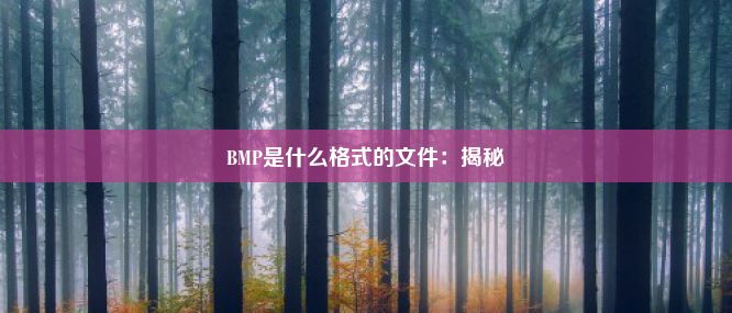 BMP是什么格式的文件：揭秘