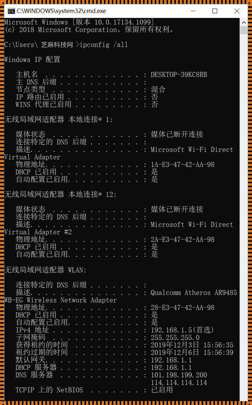 探究网络通信之谜：从IP地址到ping命令的奇幻之旅