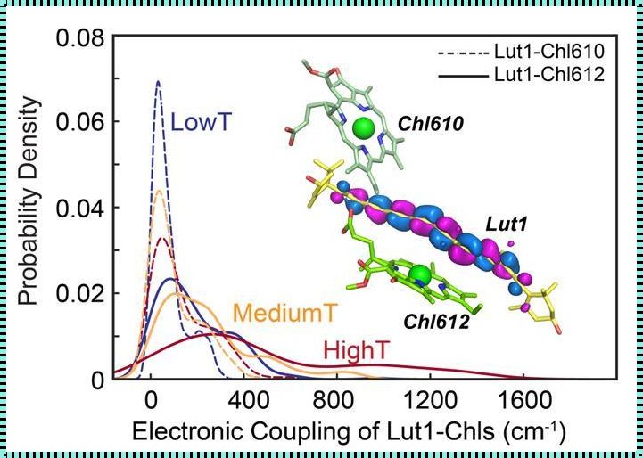 LUT和DMT：值得深入探究的影视技术