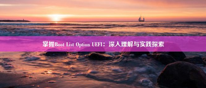 掌握Boot List Option UEFI：深入理解与实践探索