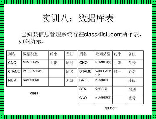 数据表创建的艺术：探索与分享