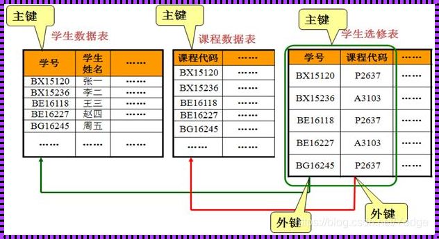 数据库建立外键约束：揭秘