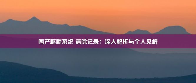 国产麒麟系统 清除记录：深入解析与个人见解