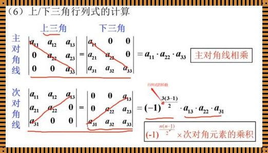 行列式的分行分列相加性：一种独特的数学现象