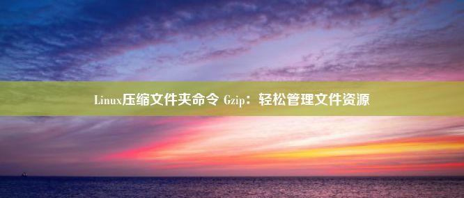 Linux压缩文件夹命令 Gzip：轻松管理文件资源