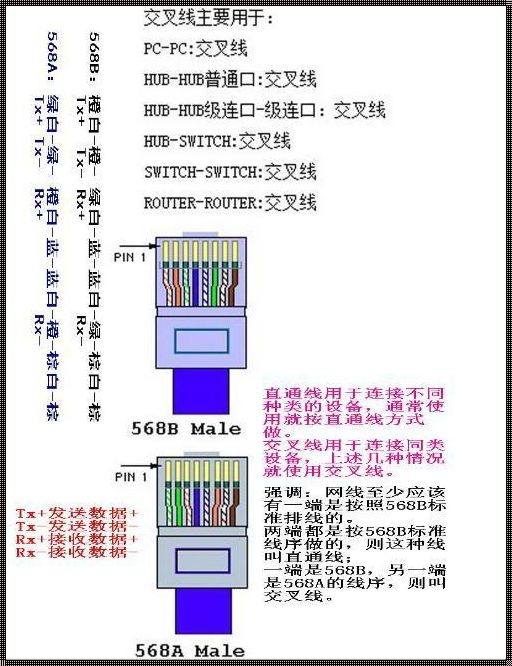 探索生态网络：网线接线方式的绿色革命