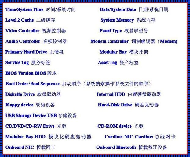 电脑BIOS设置中文翻译：探索与突破