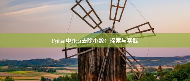 Python中Float去除小数：探索与实践