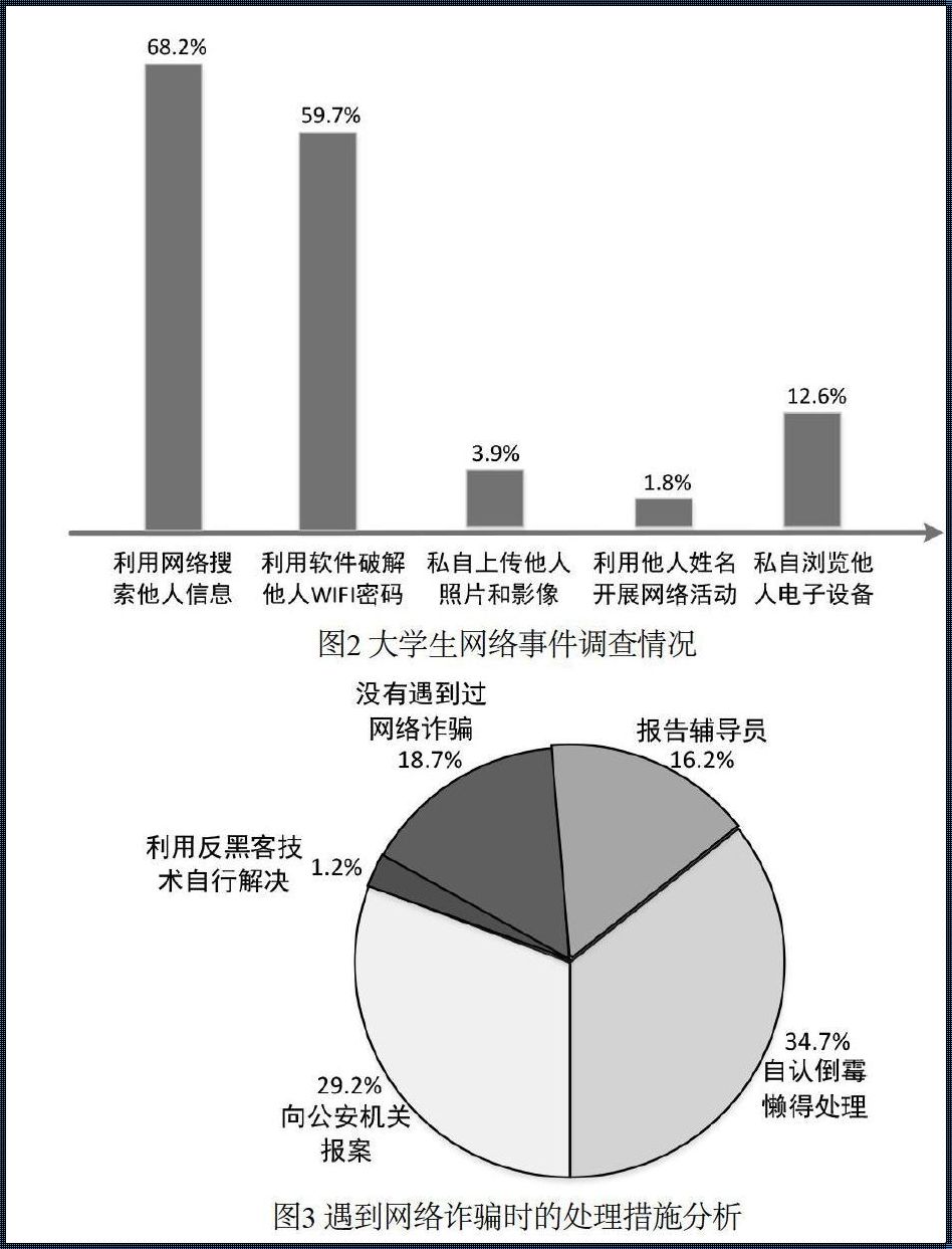 网络安全现状：揭秘网络世界的神秘面纱