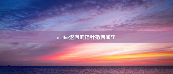 malloc返回的指针指向哪里