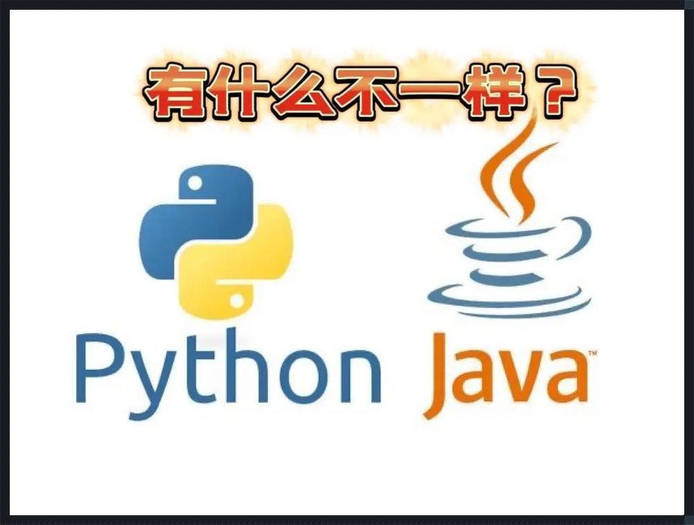 Java和Python：两种语言的双向交互之旅