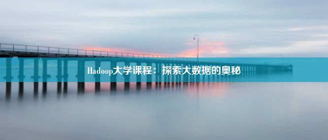 Hadoop大学课程：探索大数据的奥秘