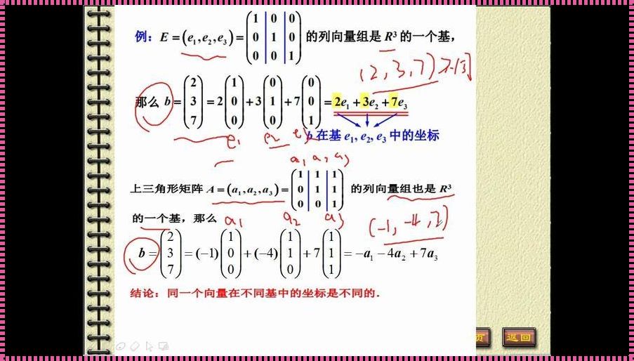 向量空间维数的求法：探索与解析