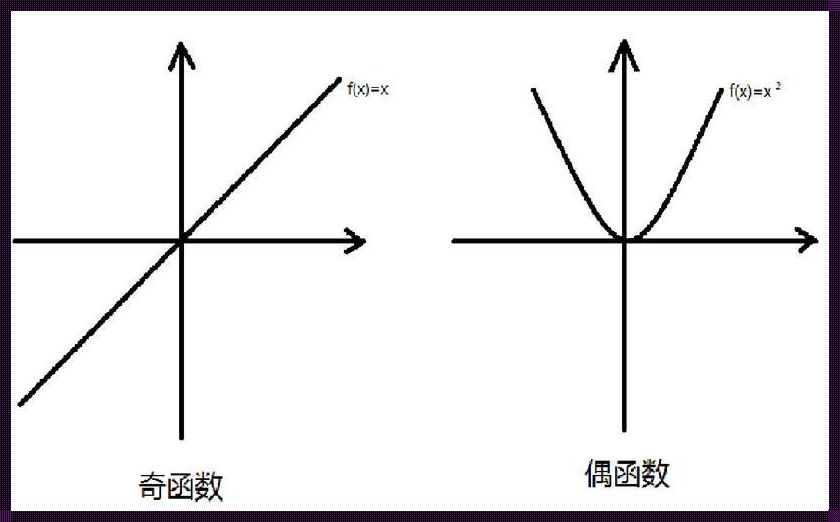 深入剖析：constant函数的奥秘与秘籍