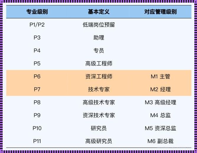 阿里巴巴程序员等级划分：揭秘互联网巨头的技术晋升之路