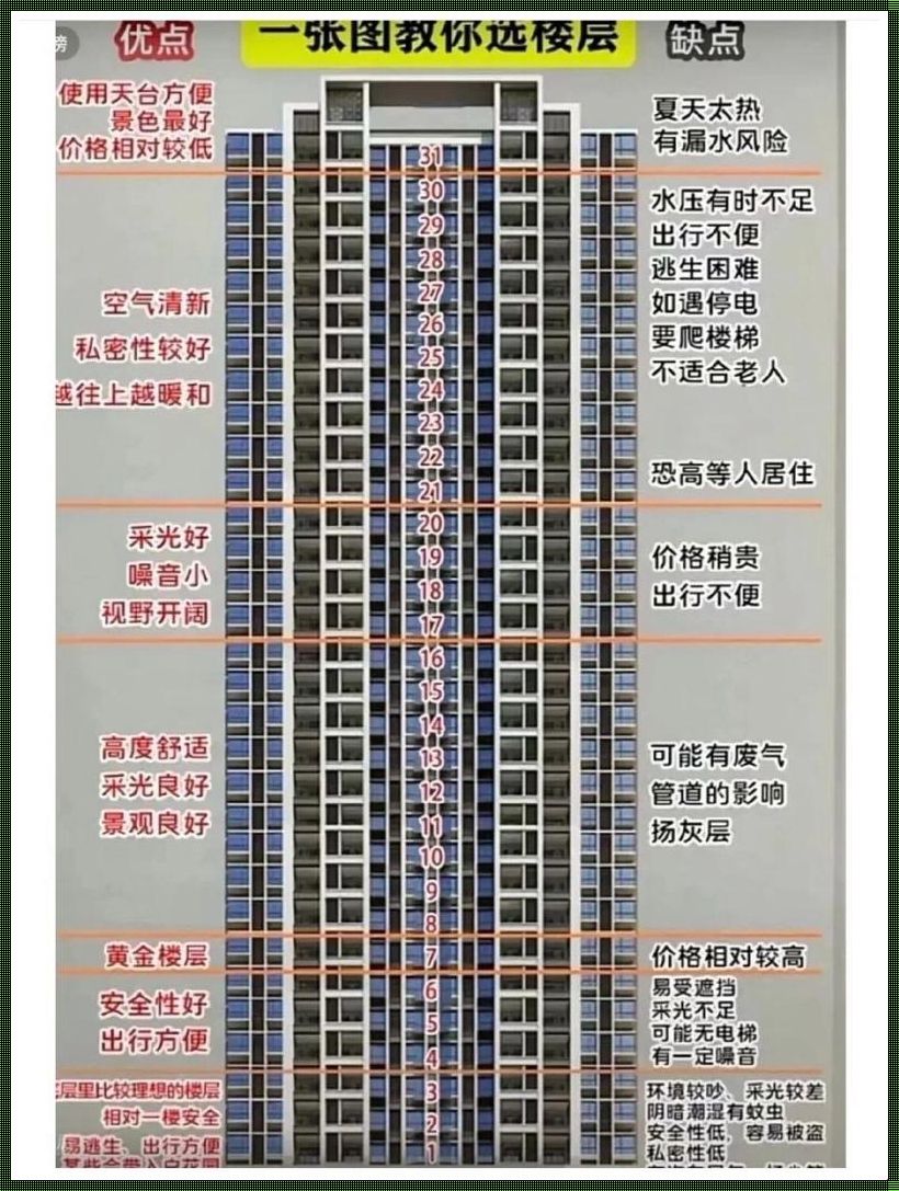 L1和L2代表什么意思楼层：深入揭秘