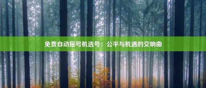 免费自动摇号机选号：公平与机遇的交响曲