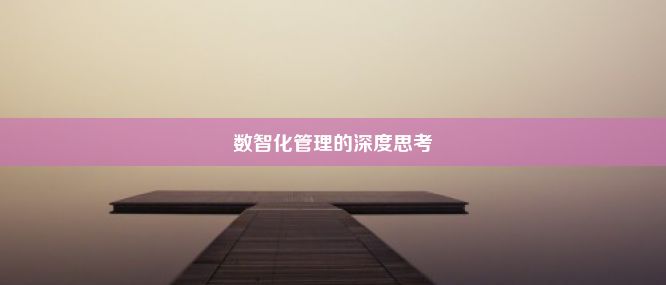 数智化管理的深度思考