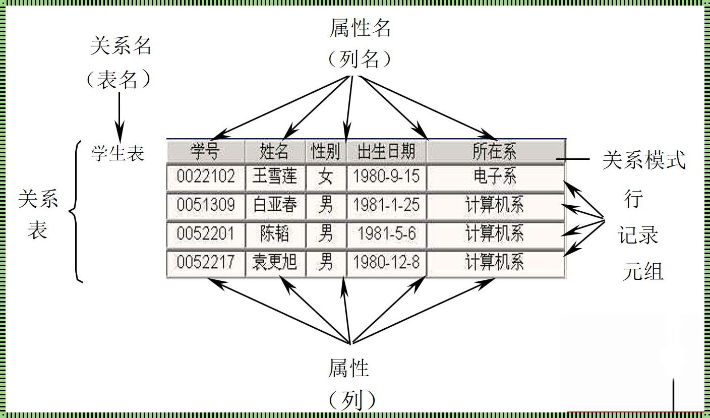 关系模型与关系的区别：揭秘