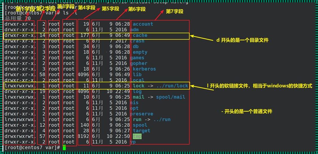 Linux系统中输入命令的奇幻之旅：寻找指令的奥秘