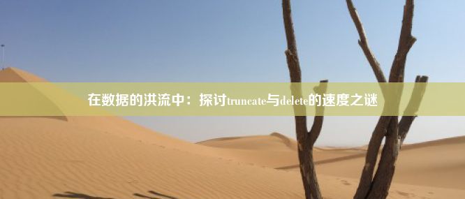 在数据的洪流中：探讨truncate与delete的速度之谜