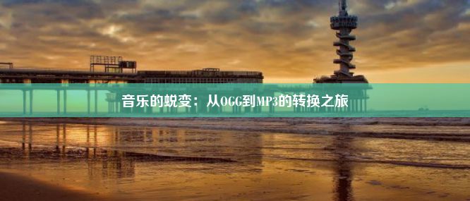 音乐的蜕变：从OGG到MP3的转换之旅