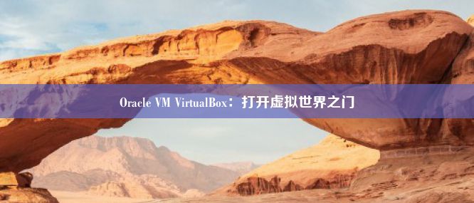 Oracle VM VirtualBox：打开虚拟世界之门