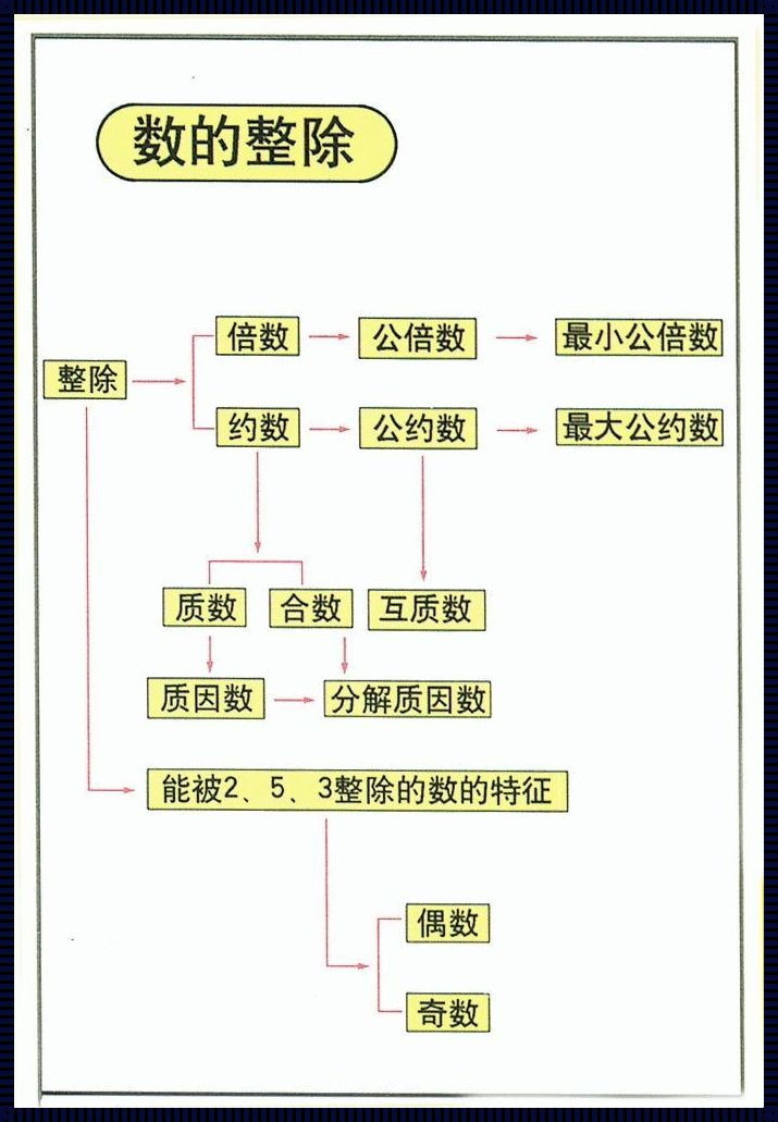 行列式消除法则：数学中的艺术与逻辑